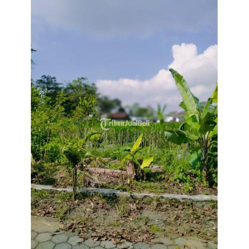 RUMAH CANTIK TANAH LUAS DI TEMPEL SLEMAN YOGYAKARTA