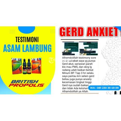 WA 0812-3039-4909, Obat Asam Lambung Cepat Sembuh di Klaten Jawa Tengah : British Propolis