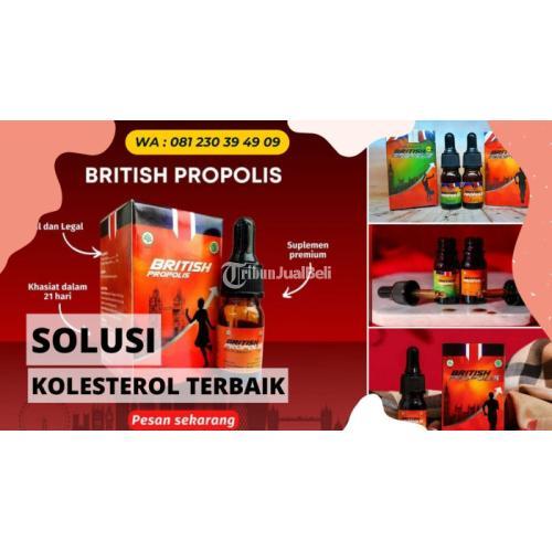 Obat Penurun Kolesterol Cepat Di Blitar : British Propolis