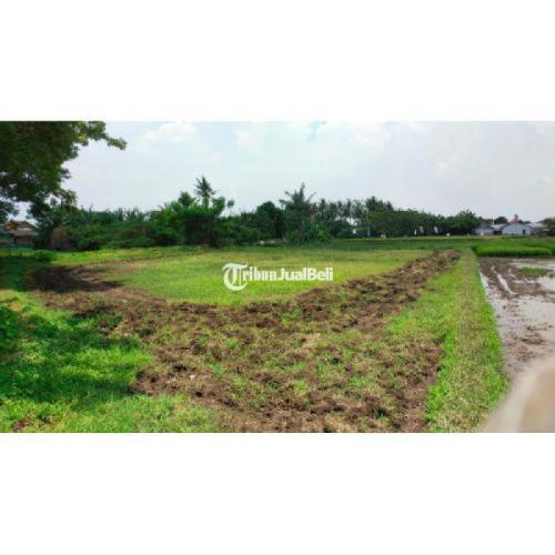 Tanah 1000 Meter Posisi Tanah di Belakang Bandara Sukarnohatta - Tanggerang