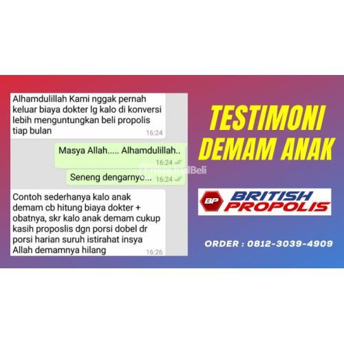 Obat Demam Anak Umur 1 Tahun : British Propolis Green di Blitar