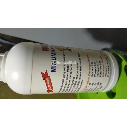 Susu Kuda Liar Sumbawa