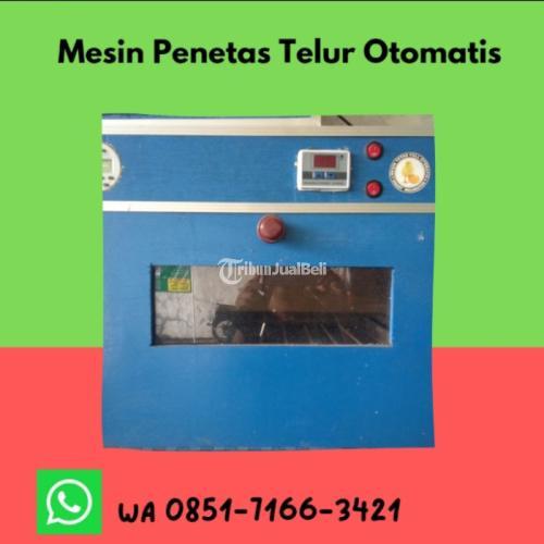Alamat Penjual Toko Penjual Mesin Penetas Telur Di Banjar Jawa Barat