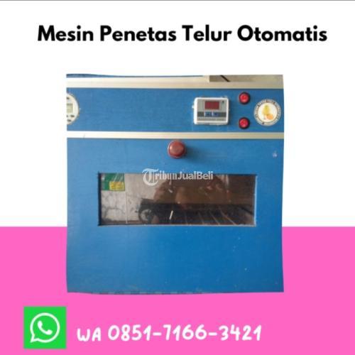 Alamat Penjual Toko Penjual Mesin Penetas Telur Di Banjar Jawa Barat