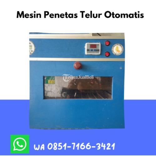 Alamat Penjual Toko Penjual Mesin Penetas Telur Di Banjar Jawa Barat