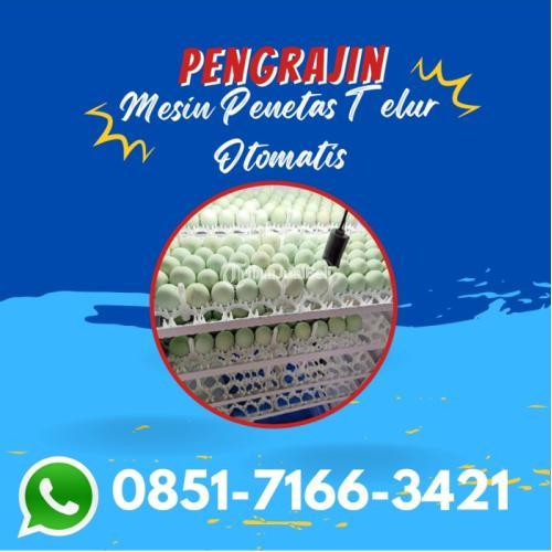 Alamat Pusat Mesin Penetas Telur Di Binjai Sumatera Utara