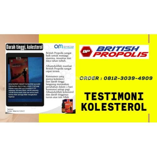 Obat Kolesterol Yang Ampuh Dan Alami Di Blitar : British Propolis