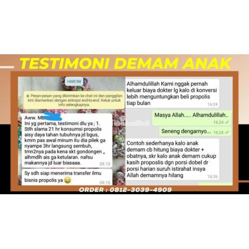 WA 0812-3039-4909, Obat Demam Anak 1 Tahun Alami : British Propolis Green di Blitar