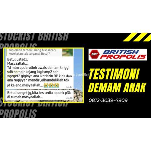 WA 0812-3039-4909, Obat Demam Anak 1 Tahun Alami : British Propolis Green di Blitar