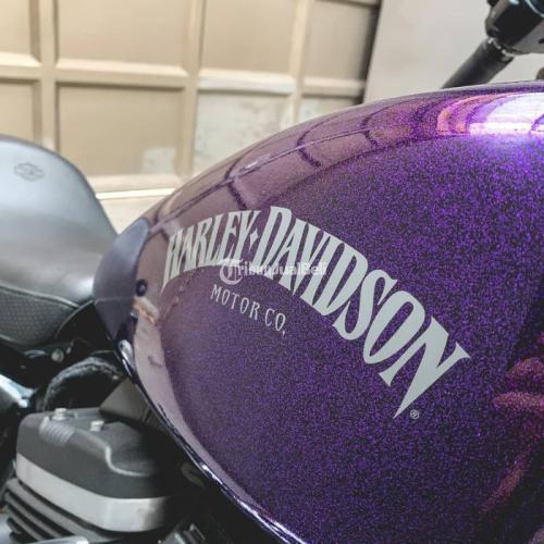 Moge Harley Davidson Sportster Iron 883 2014 - Gresik