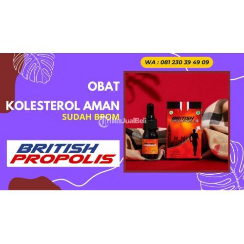 Obat Penurun Kolesterol Herbal British Propolis - Blitar