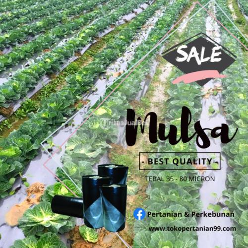 MULSA PLASTIK BERAT 18KG LEBAR 60CM HARGA MURAH