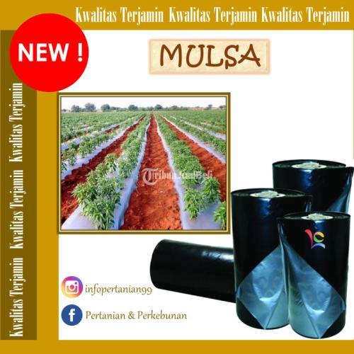 MULSA PLASTIK BERAT 18KG LEBAR 60CM HARGA MURAH