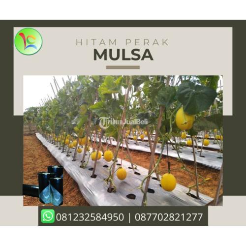 MULSA PLASTIK BERAT 18KG LEBAR 60CM HARGA MURAH