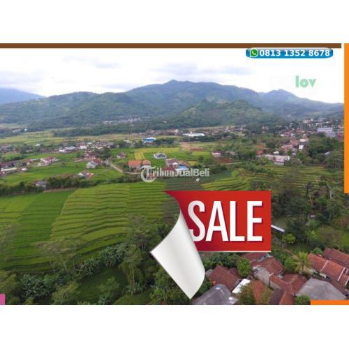 Dijual Tanah Sawah Lokasi Strategis Di Cicalengka Di Bandung Tribun