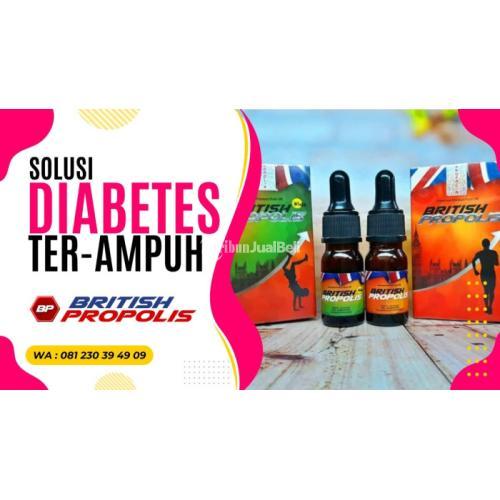 Obat Diabetes Ringan : British Propolis Bojonegoro Jawa Timur