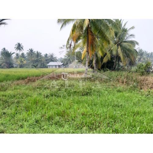 Dijual Tanah Pal 9 Kota Luas Tanah 21,5m x 80m - Pontianak