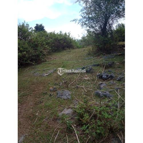 Tanah LOS TEBING murah meriah nusapp