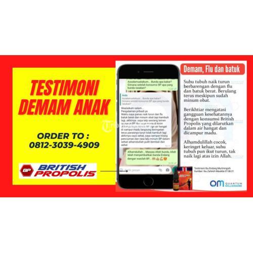 Obat Demam Anak 2thn : British Propolis Green di Blitar