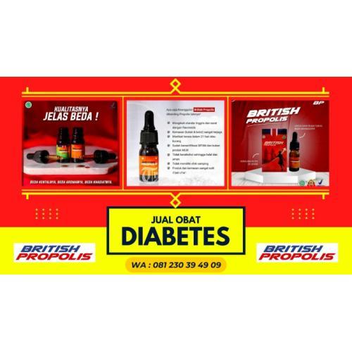 Obat Diabetes Untuk Obesitas : British Propolis Bojonegoro Jawa Timur