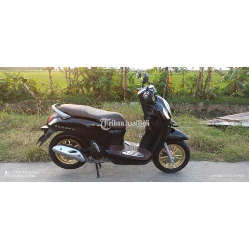 Motor Honda Scoopy Tahun 2021 Bekas Siap Pakai Harga Nego - Kudus