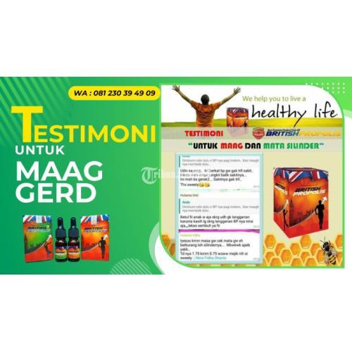 Obat Asam Lambung Gastritis di Klaten Jawa Tengah : British Propolis