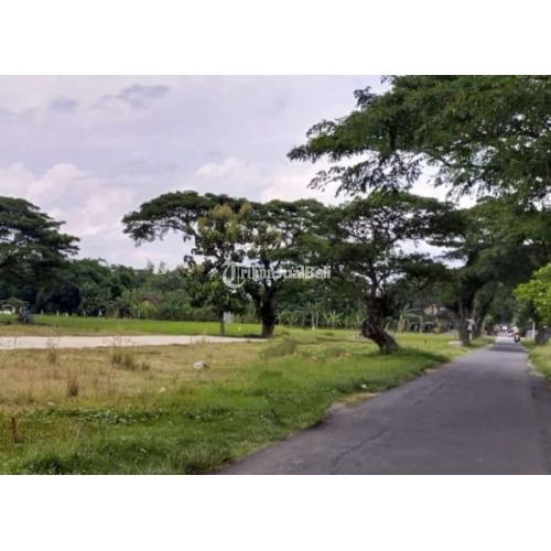 Tanah Kering Lahan untuk Perumahan Kingkang Wonosari Klaten