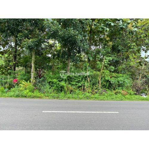 Kebun Durian Jl Raya Karangpandan Karanganyar