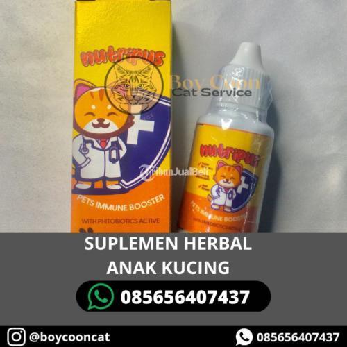 SUPLEMEN HERBAL ANAK KUCING