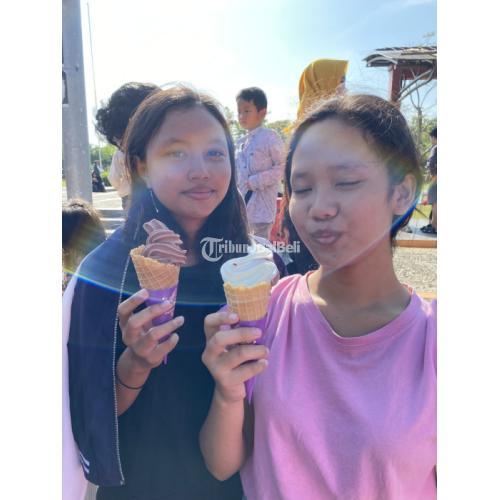 Paket Usaha Es Krim Sundae Everydae dengan Series Menu Kekinian