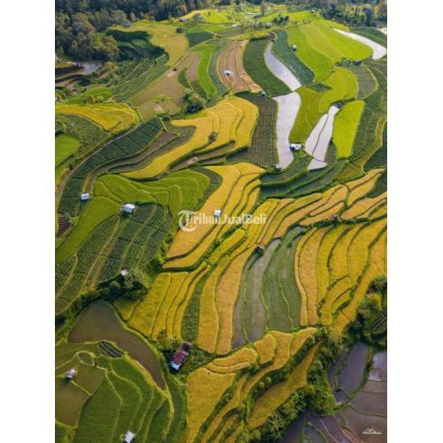 Jasa Pemetaan Drone Banjarmasin