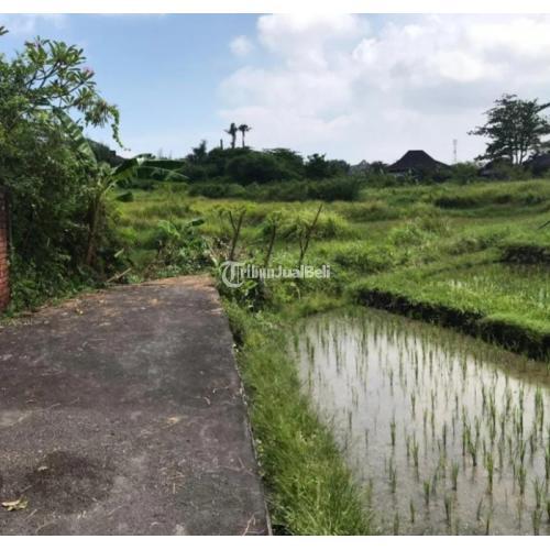 TANAH Bumbak view sawah Umalas Bumbak kerobokan BALI