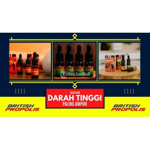 Obat Hipertensi Untuk Ibu Hamil di Depok Jawa Barat : British Propolis