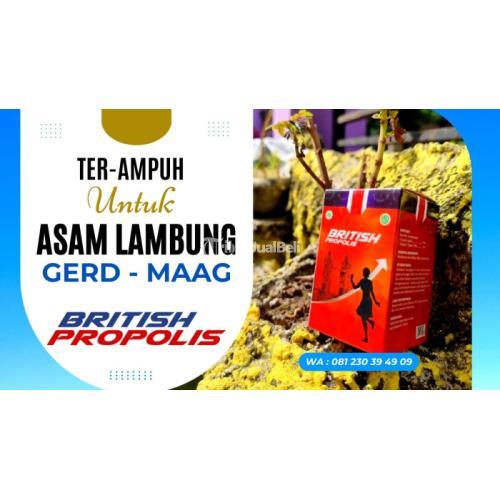 Obat Asam Lambung Naik British Propolis Di Trenggalek Tribun Jualbeli