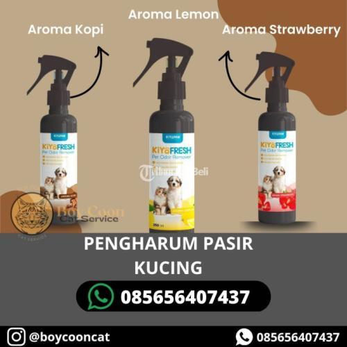 PENGHARUM PASIR KUCING