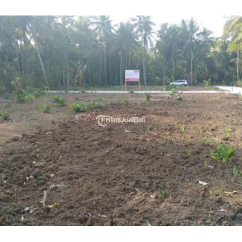 15 Menit Bandara YIA: Tanah Pekarangan Jogja Siap AJB