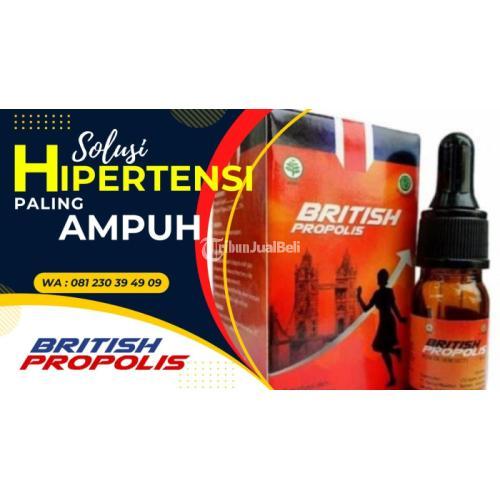 Obat Hipertensi Lini Pertama di Depok Jawa Barat : British Propolis