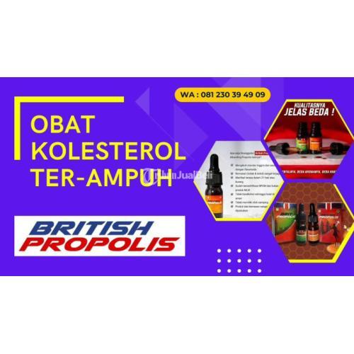 Obat Kolesterol Kaki Bengkak Di Kediri : British Propolis