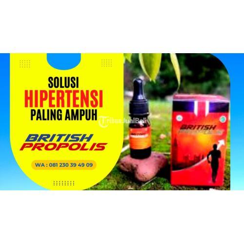 Obat Hipertensi Yang Aman di Depok Jawa Barat : British Propolis