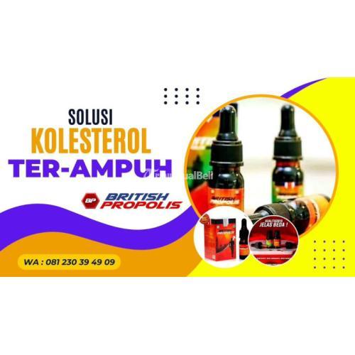 Obat Penurun Kolesterol Herbal Kediri : British Propolis