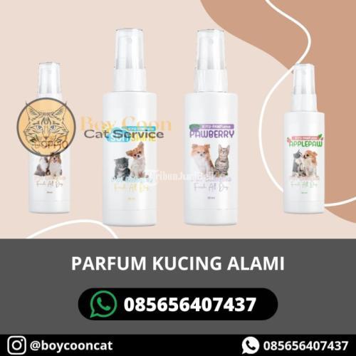 PARFUM KUCING ALAMI