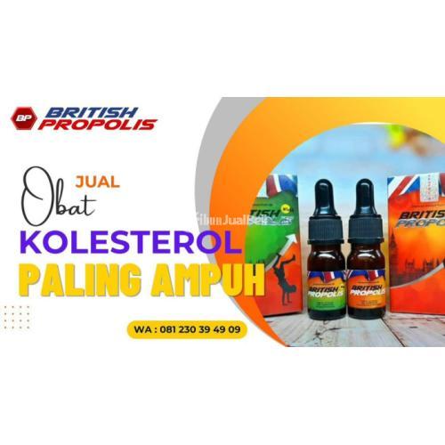 Obat Penurun Kolesterol Murah British Propolis - Kediri