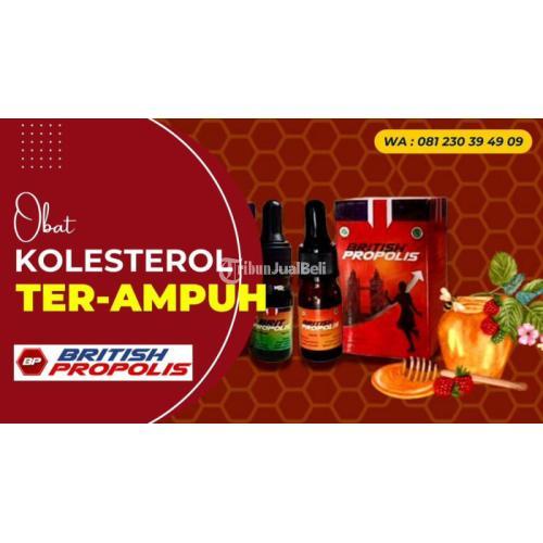 Obat Penurun Kolesterol dan Gula Darah British Propolis - Kediri