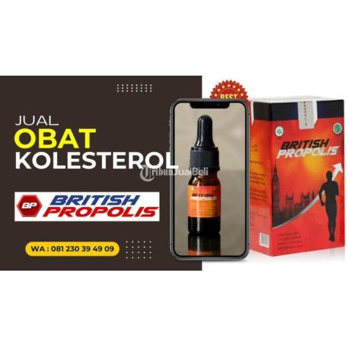 Obat Penurun Kolesterol Secara Alami Di Kediri : British Propolis