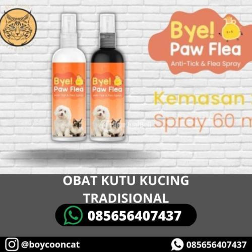 OBAT KUTU KUCING TRADISIONAL