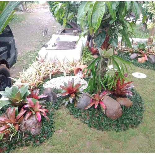 Jasa Tukang Taman Bekasi Murah Profesional