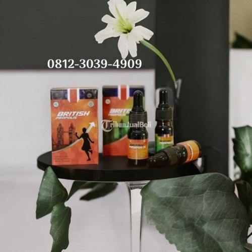Toko Obat Penurun Kolesterol Alami Cepat Di Kediri : British Propolis