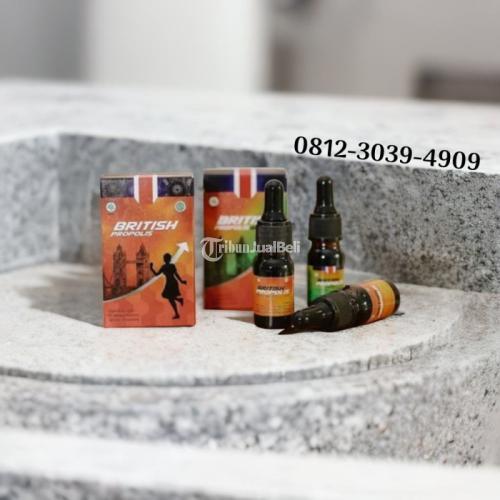 Toko Obat Penurun Kolesterol Alami Cepat Di Kediri : British Propolis