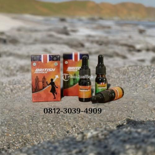 Obat Kolesterol Tinggi Di Kediri : British Propolis