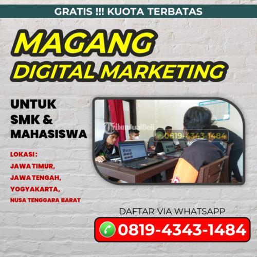 Hub 0819-4343-1484, Rekomendasi Internship Manajemen Informatika Kota Malang